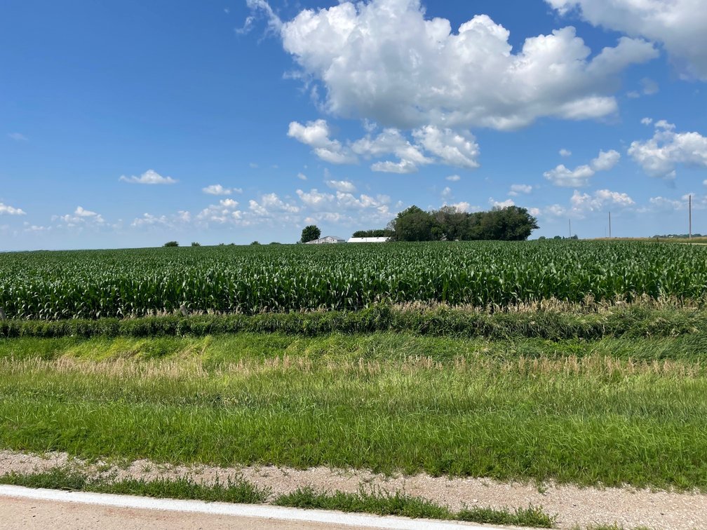Image for Calhoun County Farmland Auction!