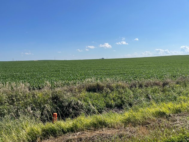Image for Greene County Land Auction!