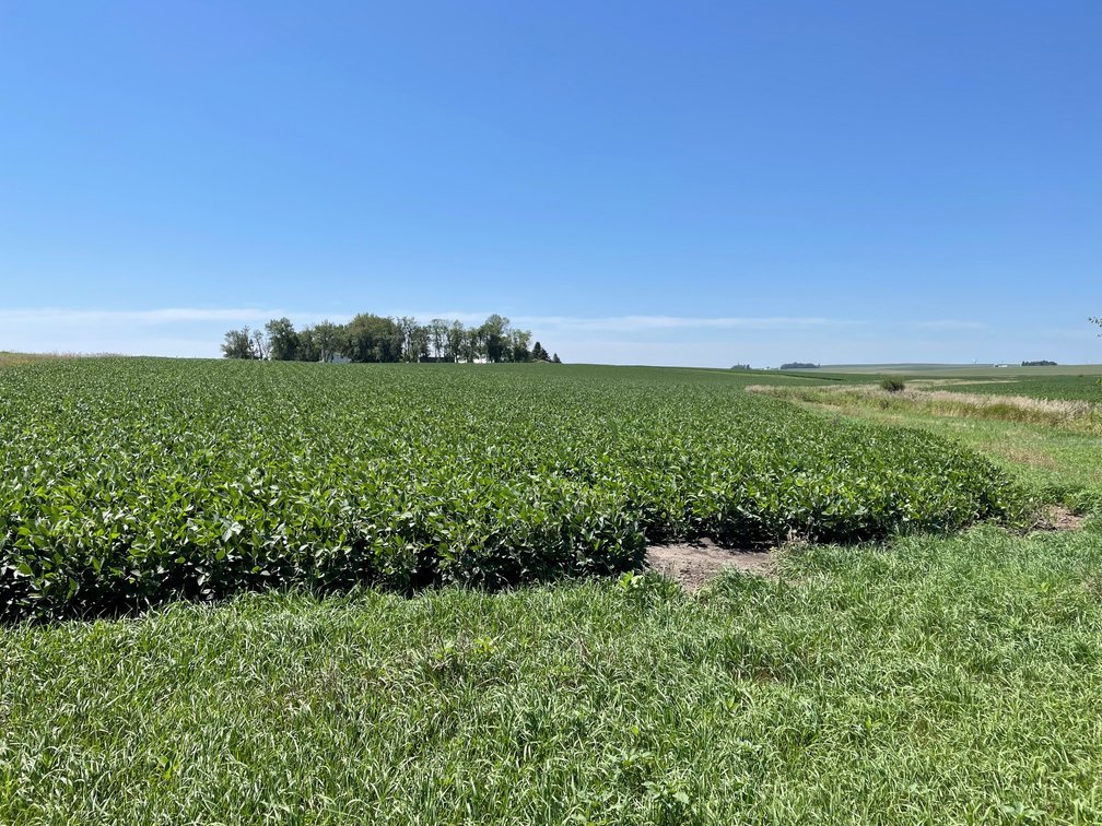 Image for Sac County Farmland Auction!
