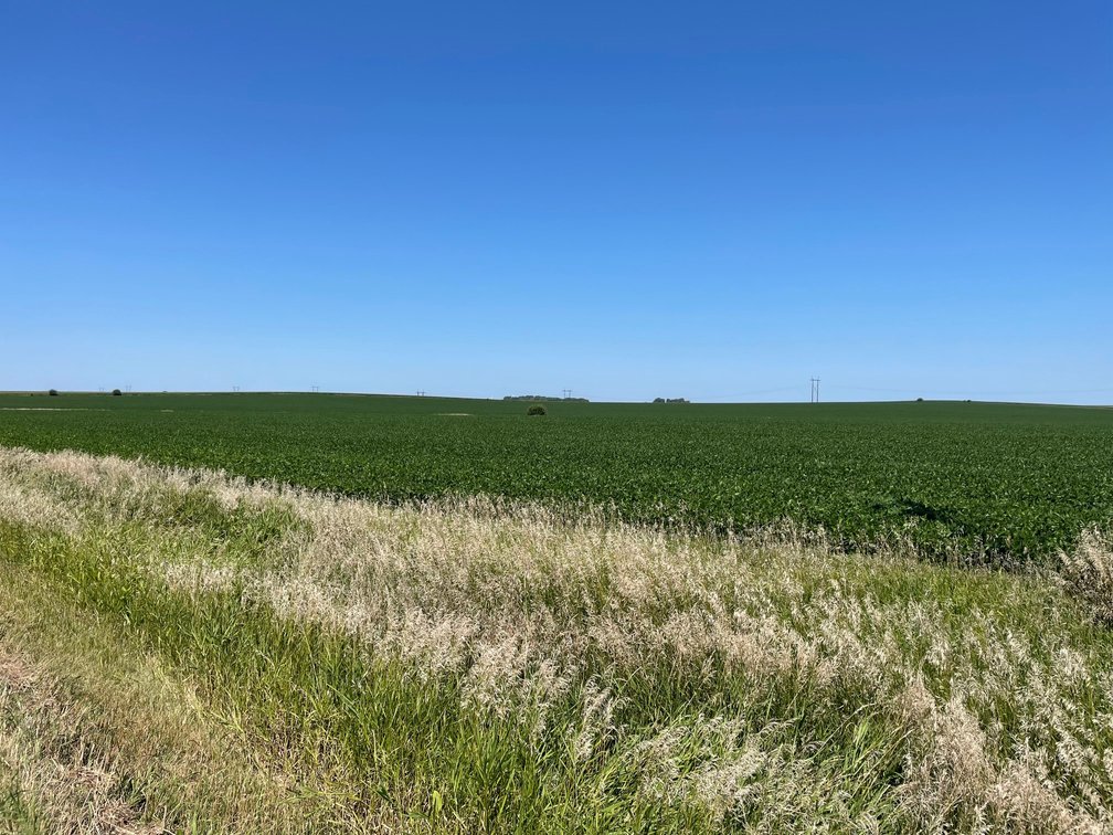 Image for Sac County Farmland Auction!
