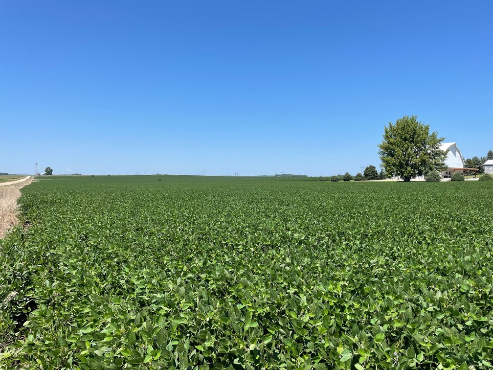 Image for Sac County Farmland Auction!