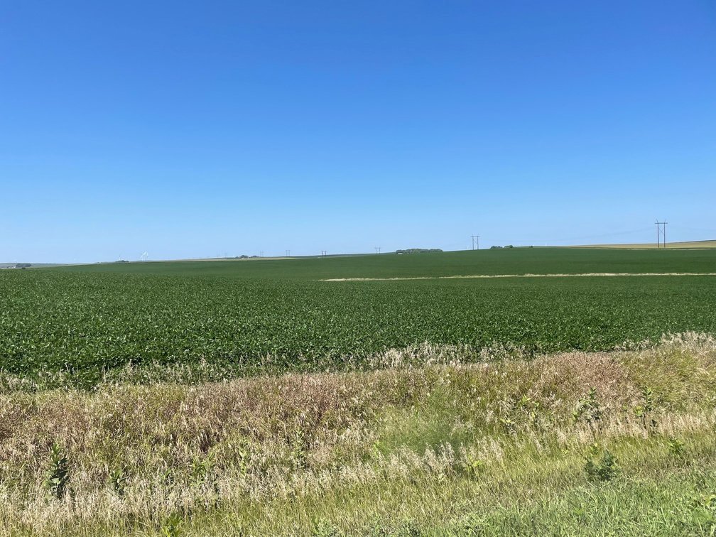Image for Sac County Farmland Auction!