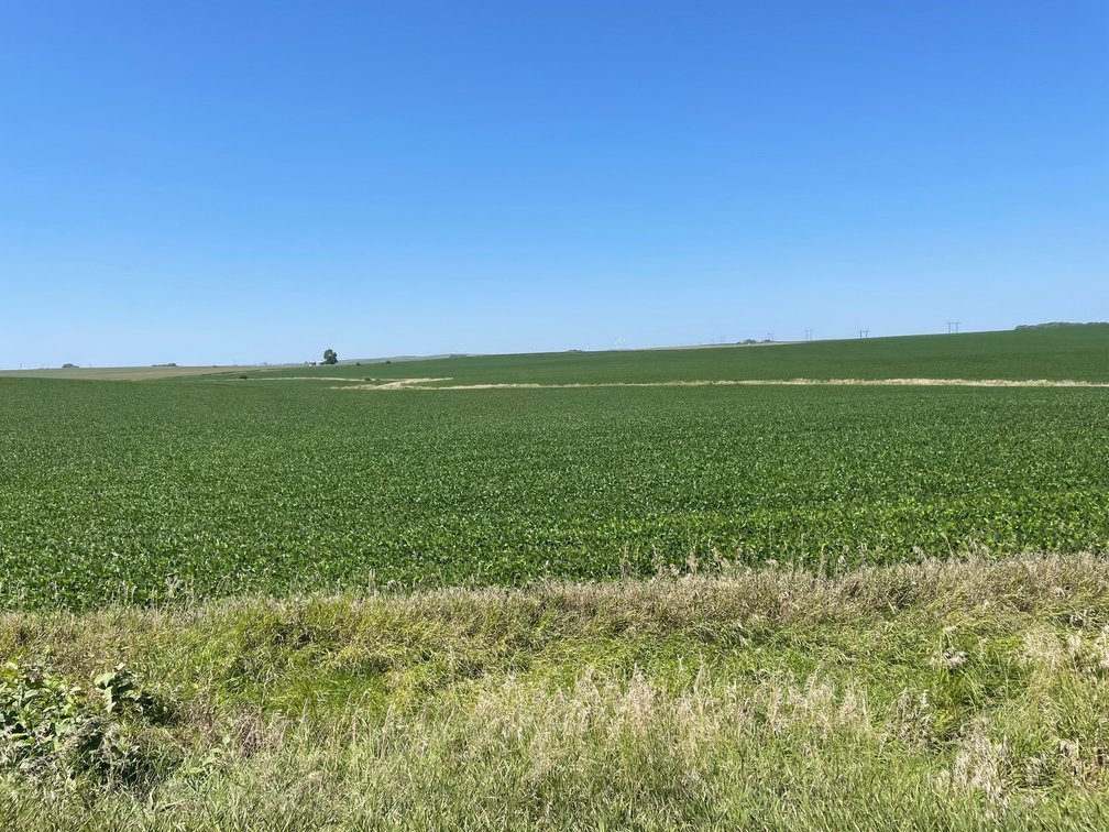 Image for Sac County Farmland Auction!