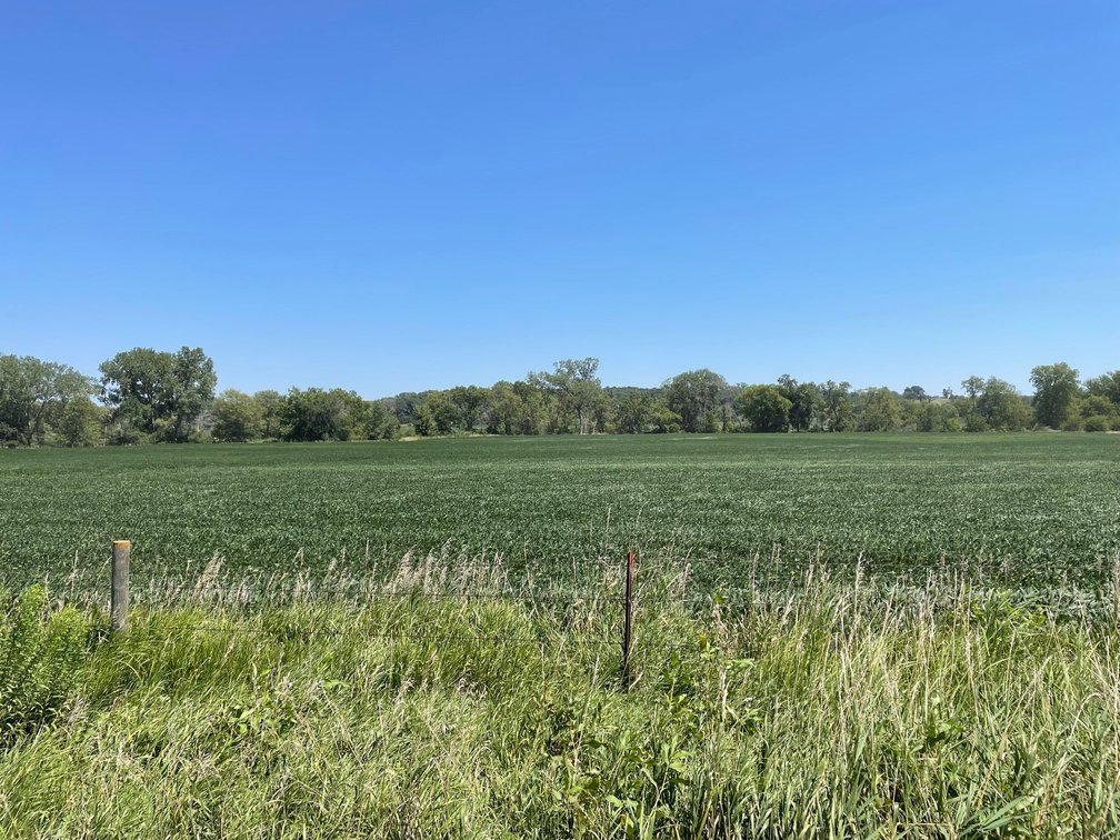 Image for Adair County, IA Land Auction!