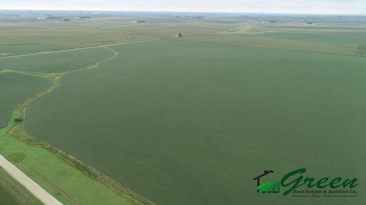 Image for Sac County Farmland Auction!