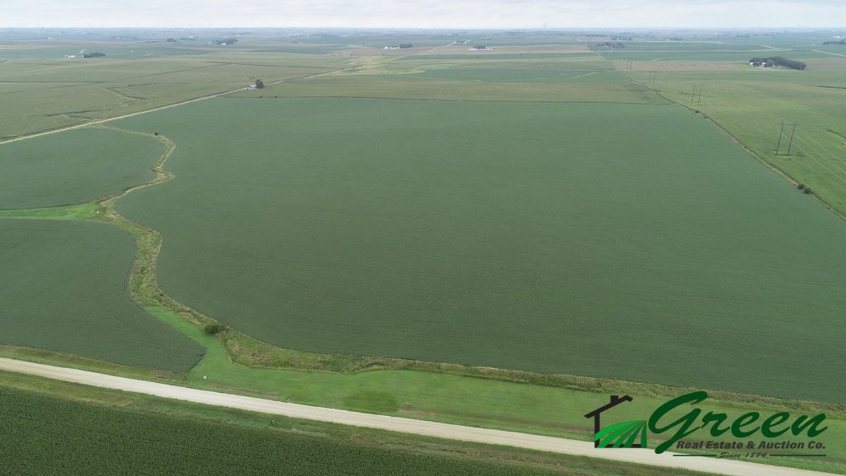 Image for Sac County Farmland Auction!