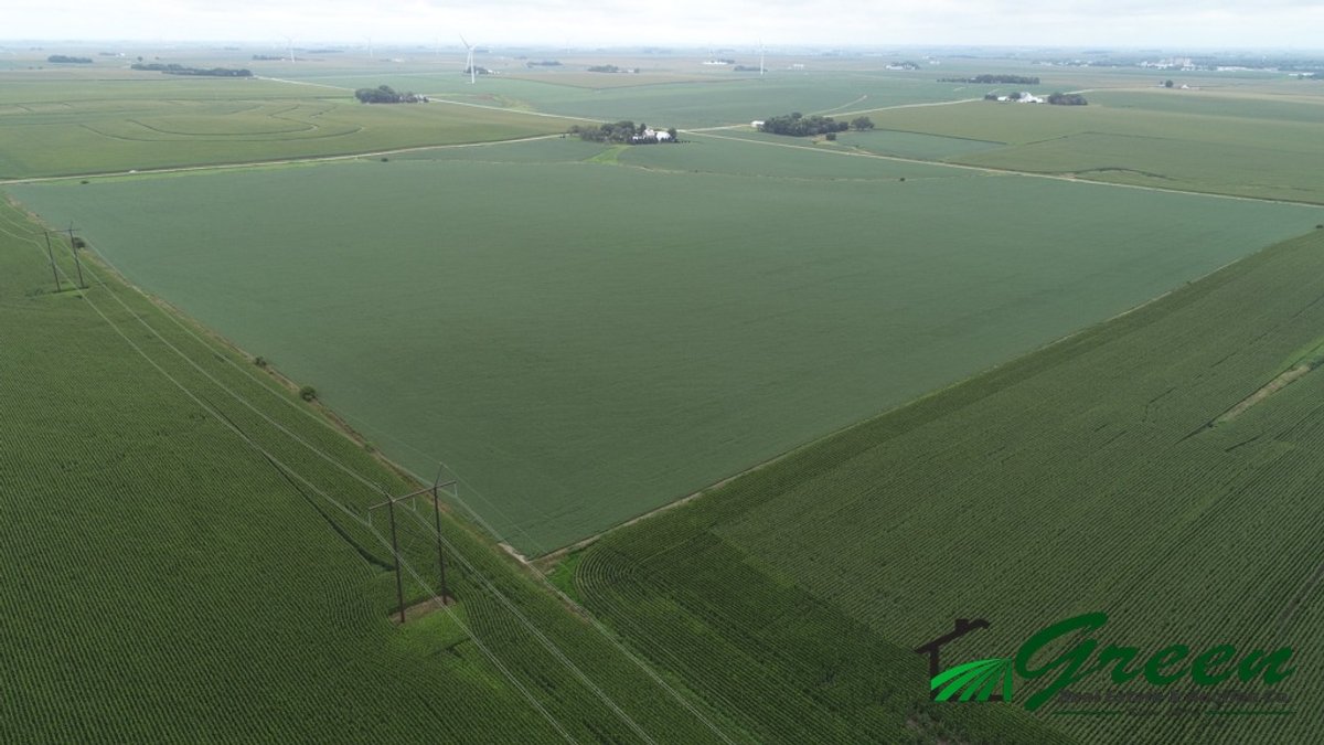 Image for Sac County Farmland Auction!