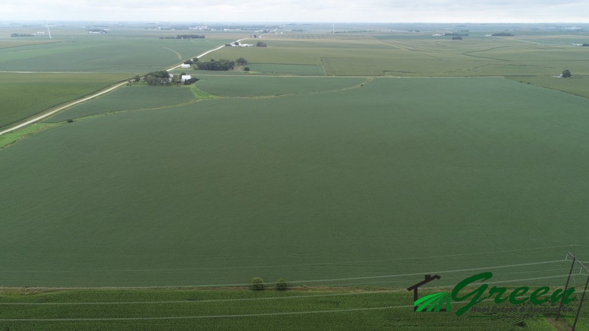 Image for Sac County Farmland Auction!