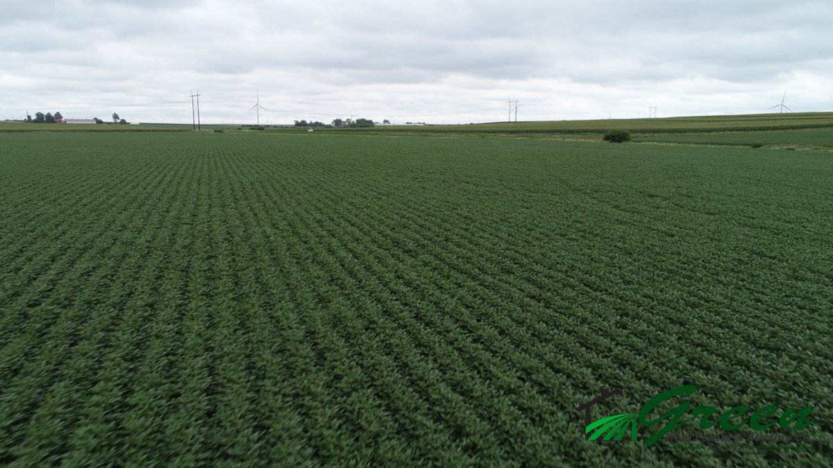 Image for Sac County Farmland Auction!