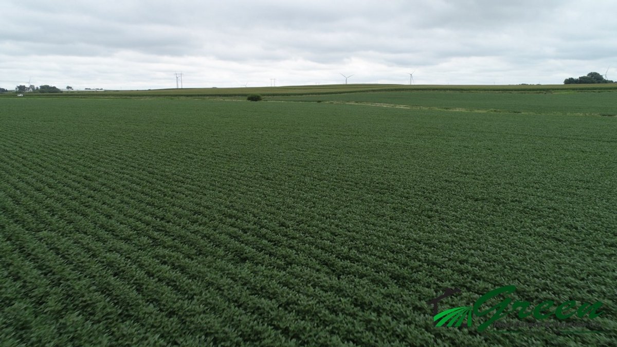 Image for Sac County Farmland Auction!