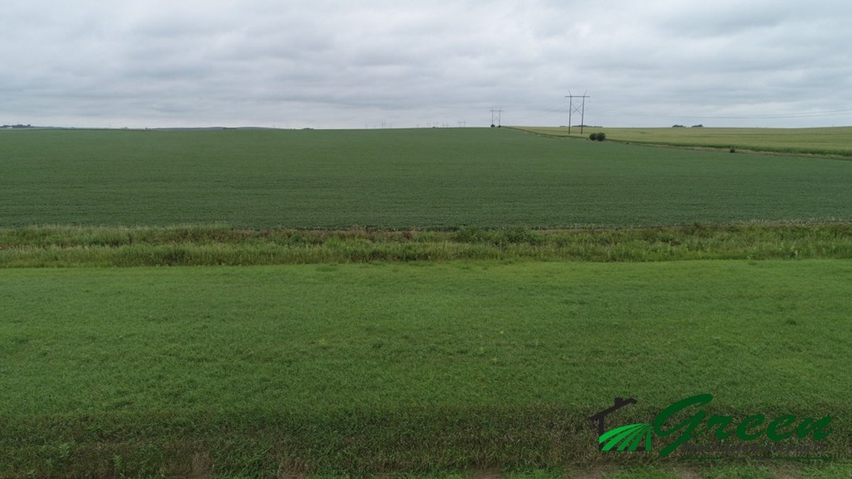 Image for Sac County Farmland Auction!