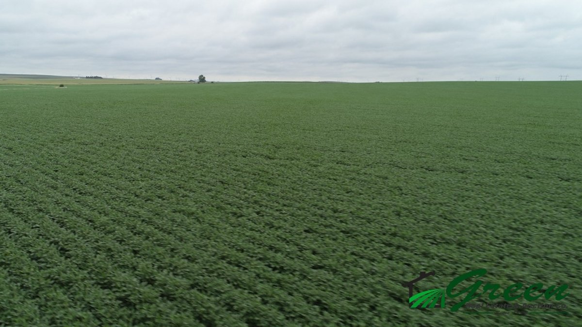Image for Sac County Farmland Auction!