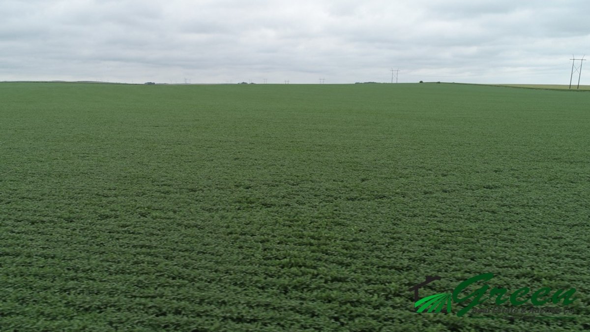 Image for Sac County Farmland Auction!