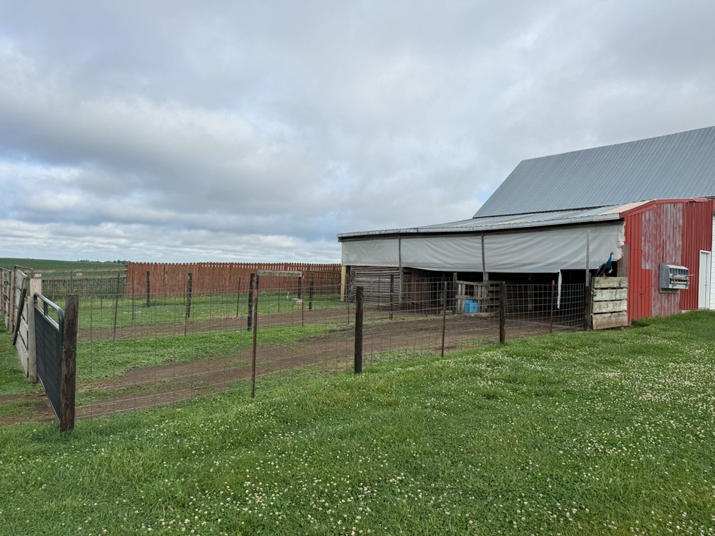 Image for 1841 Union Avenue, Newell!