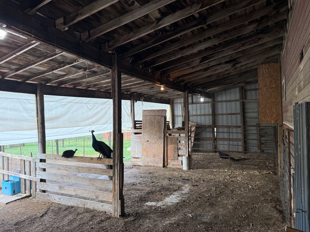 Image for 1841 Union Avenue, Newell!
