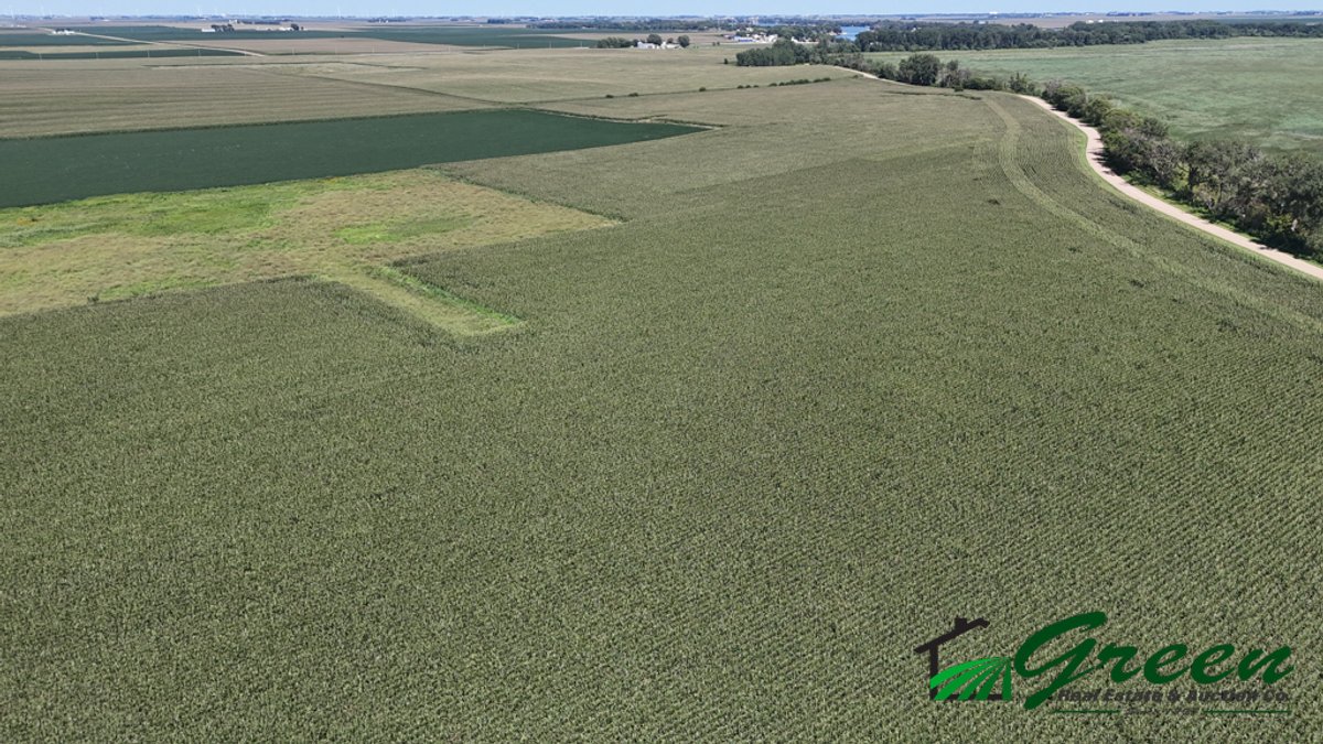 Image for Calhoun County, Iowa Land Auction!