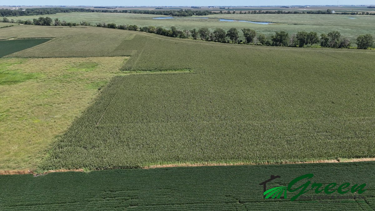 Image for Calhoun County, Iowa Land Auction!
