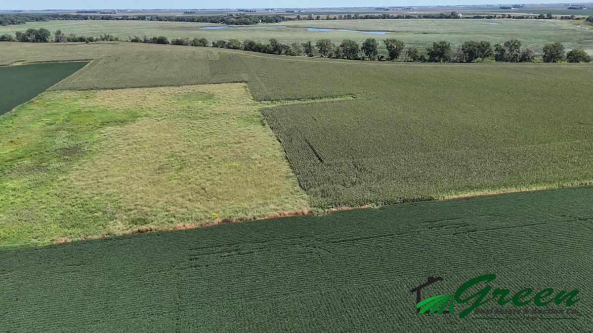 Image for Calhoun County, Iowa Land Auction!