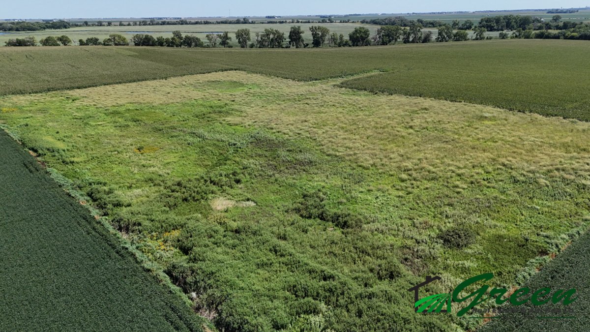 Image for Calhoun County, Iowa Land Auction!