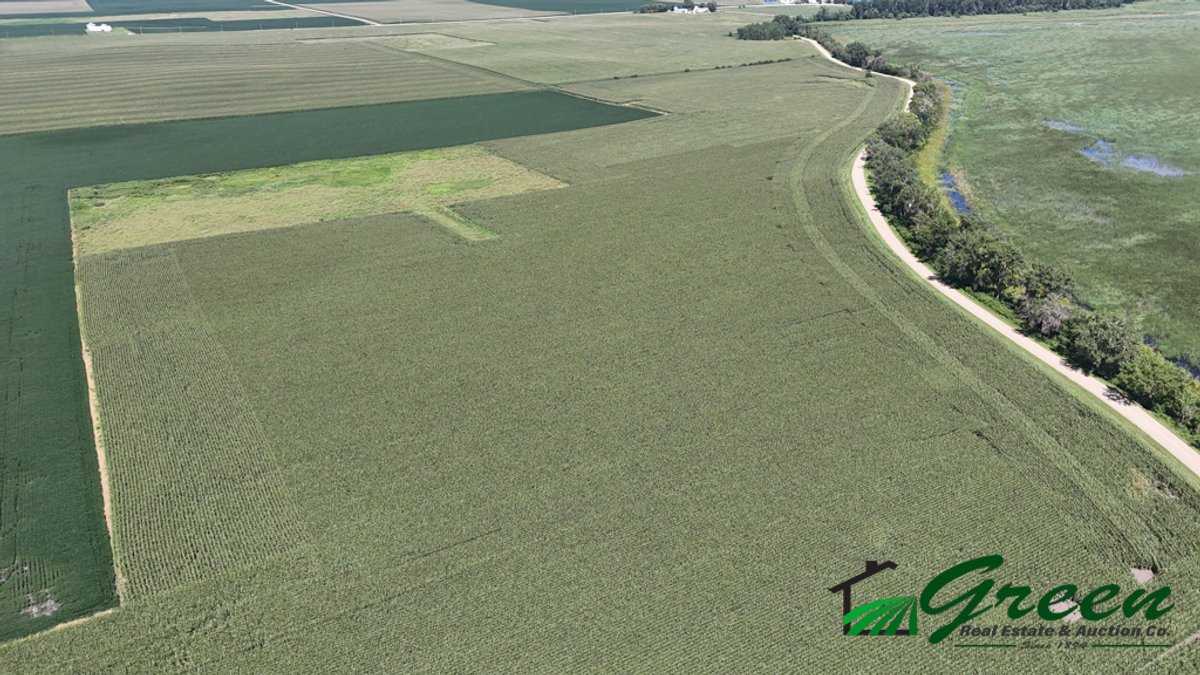 Image for Calhoun County, Iowa Land Auction!