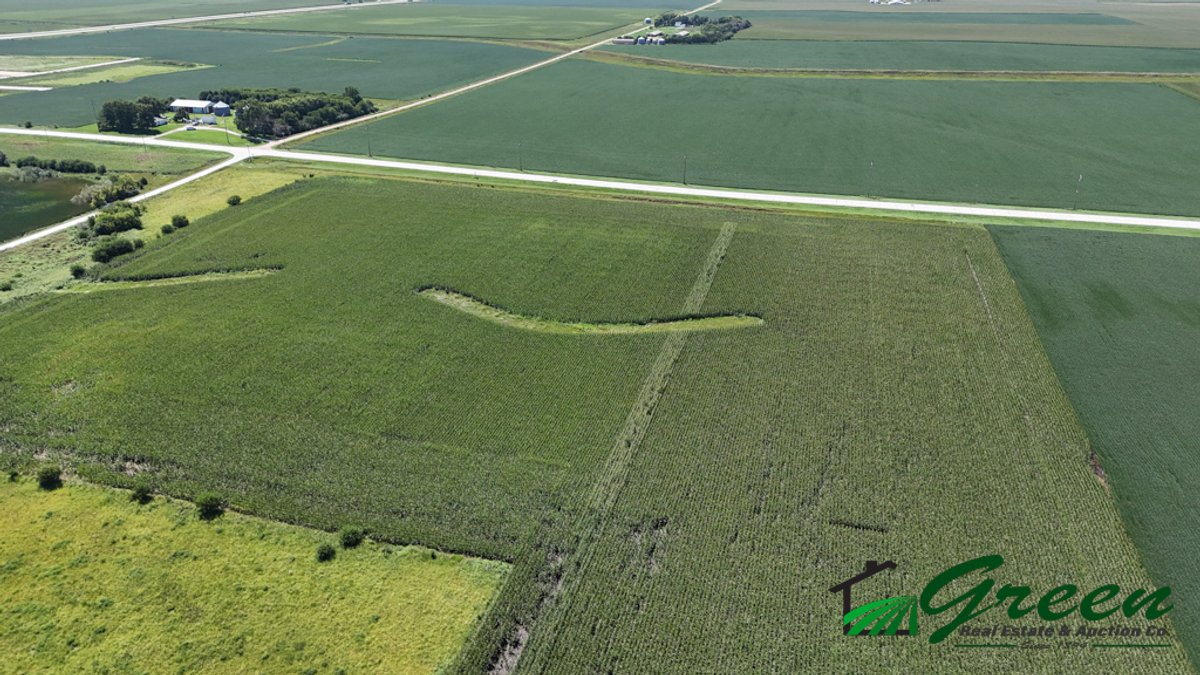 Image for Calhoun County, Iowa Land Auction!