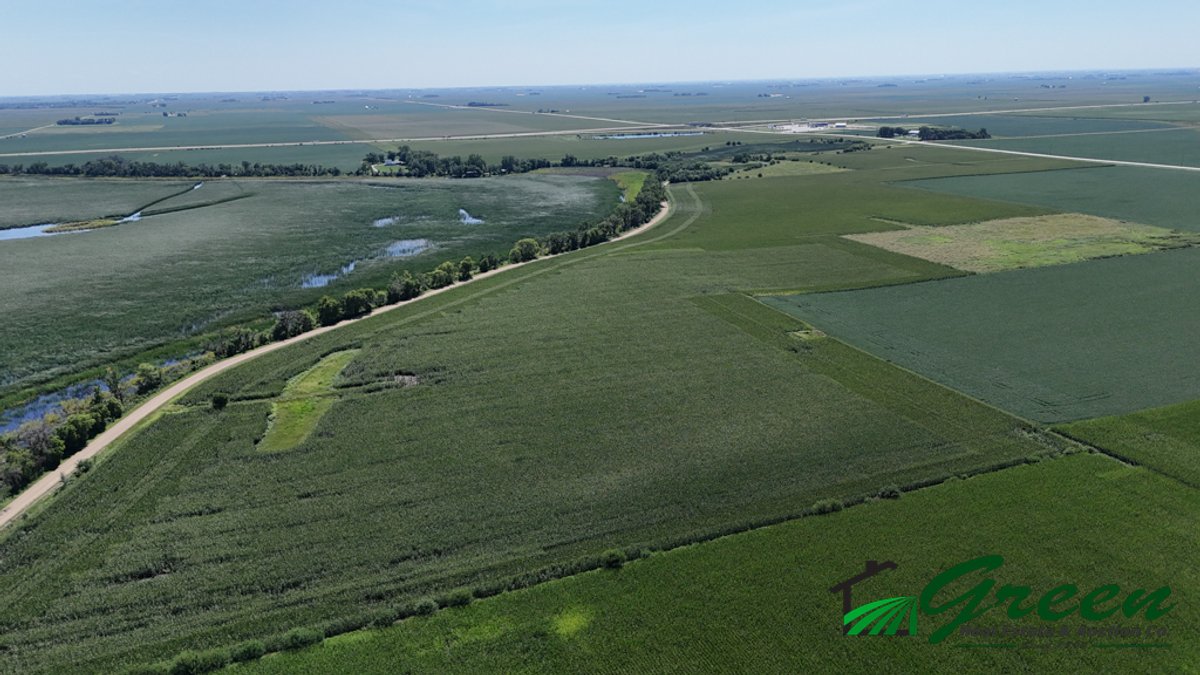 Image for Calhoun County, Iowa Land Auction!