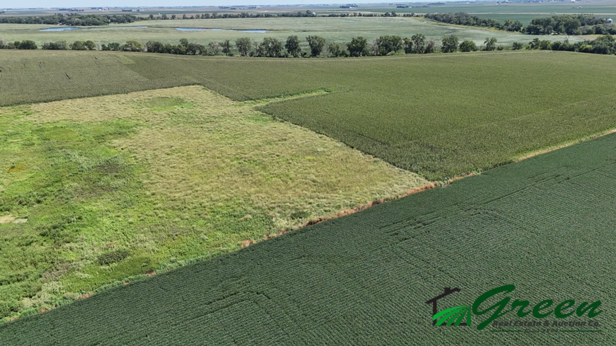 Image for Calhoun County, Iowa Land Auction!