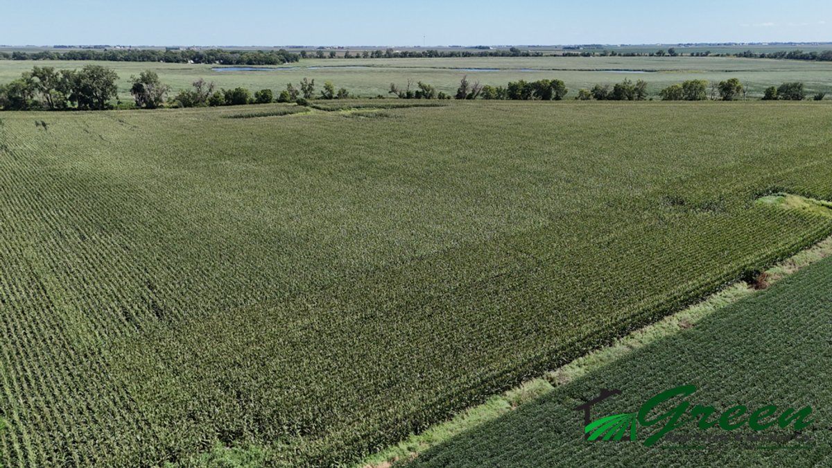 Image for Calhoun County, Iowa Land Auction!