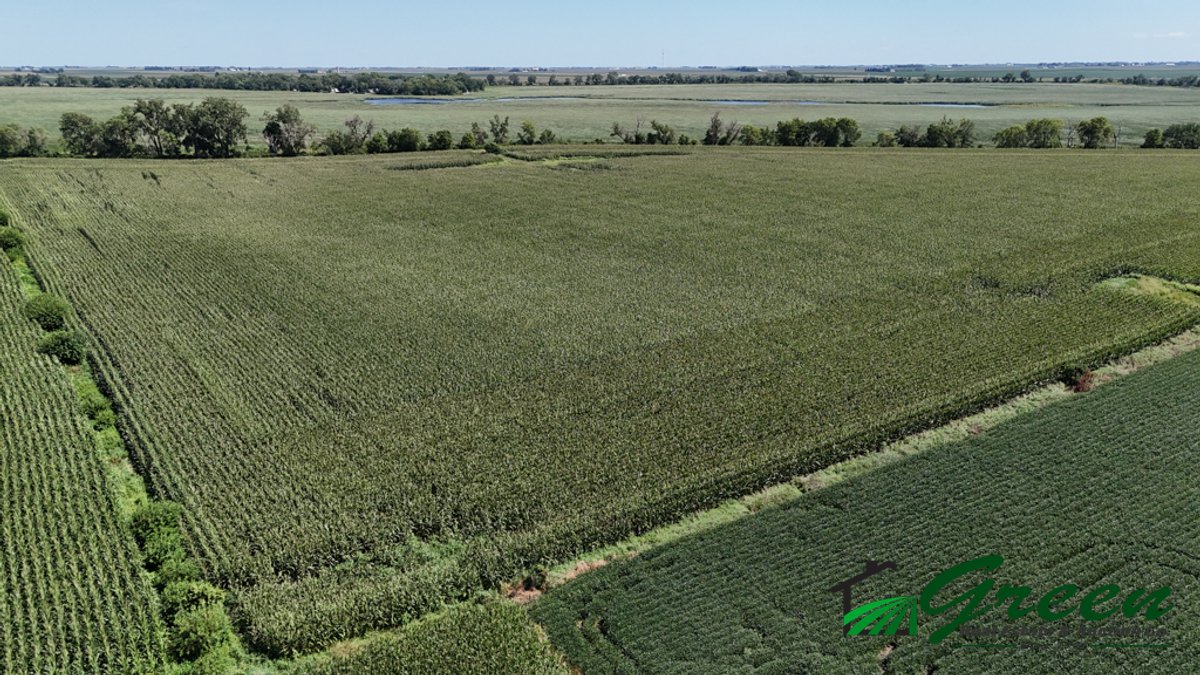 Image for Calhoun County, Iowa Land Auction!