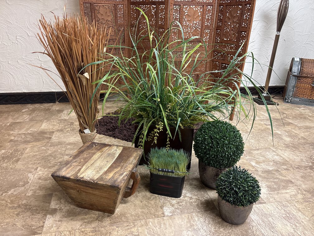 Plant Decor
