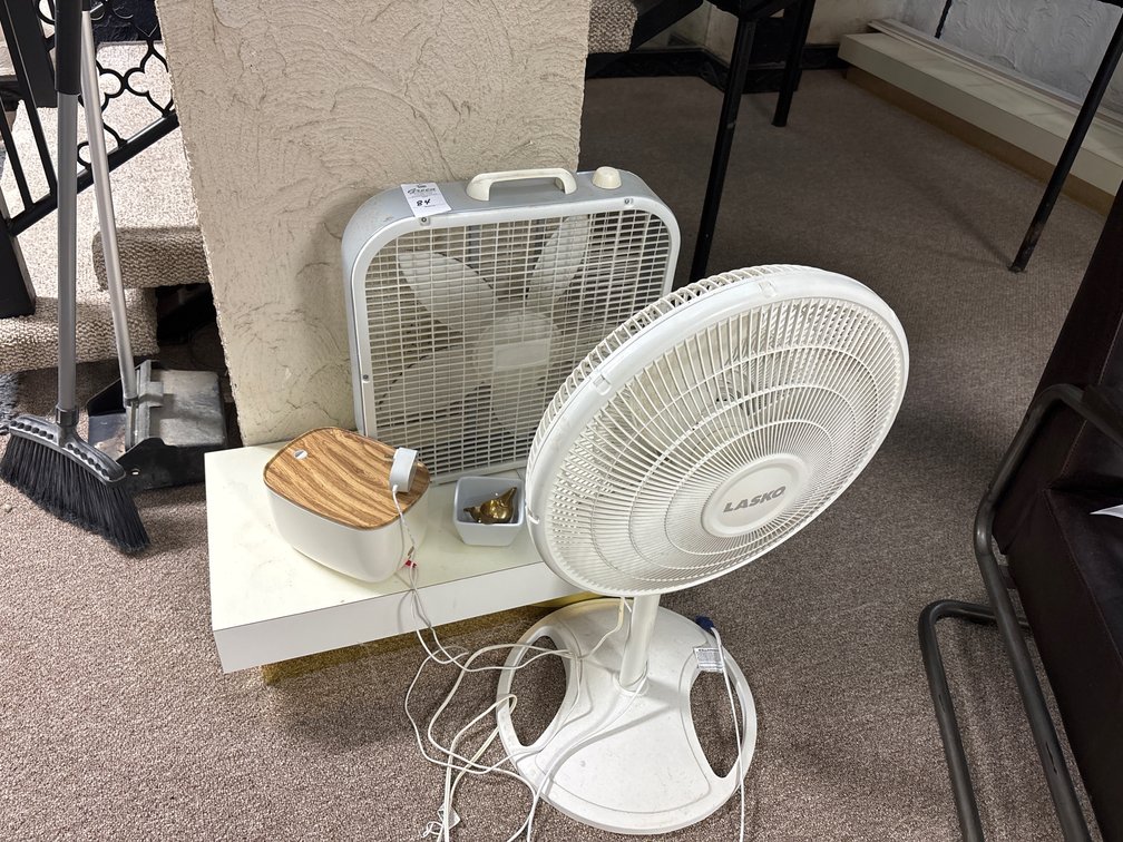 Pair of Fans