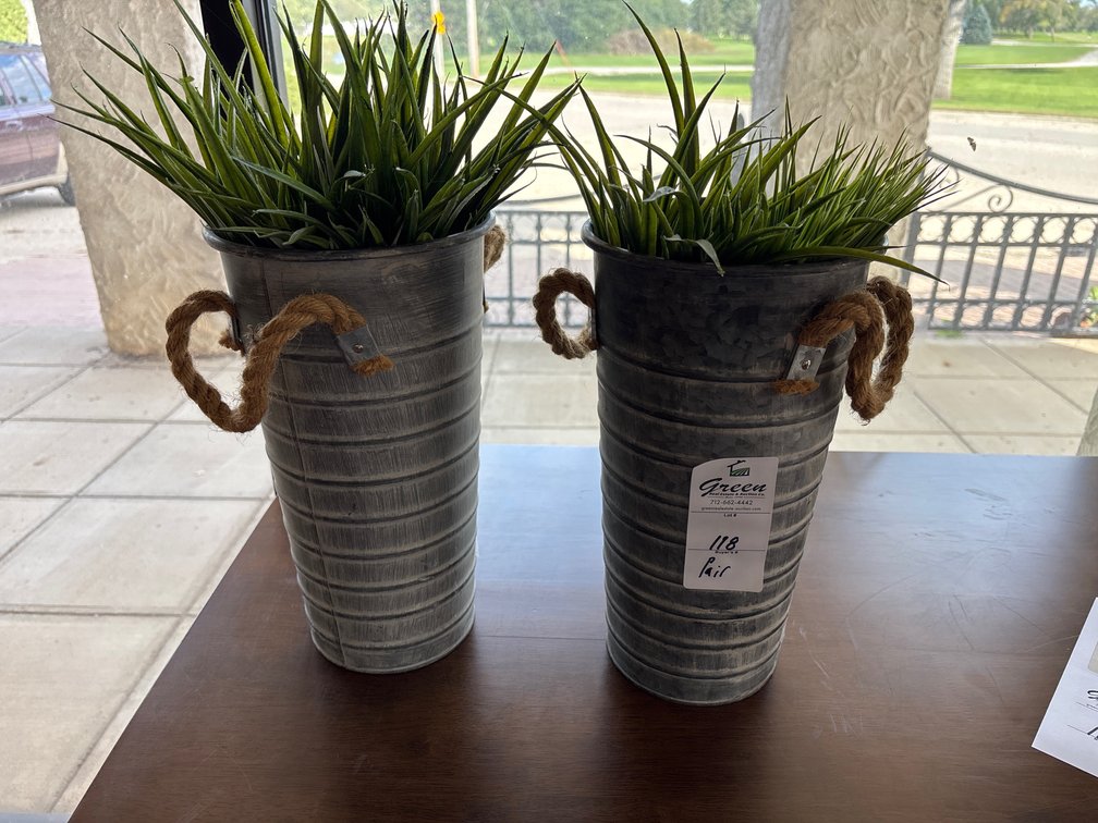 Plant Decor