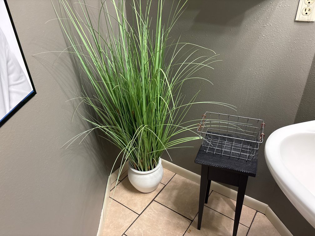 Plant Decor