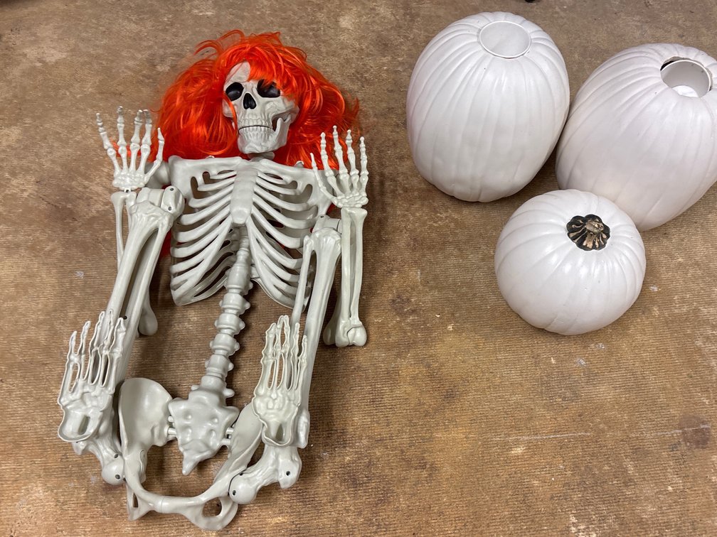Skeleton & Decor