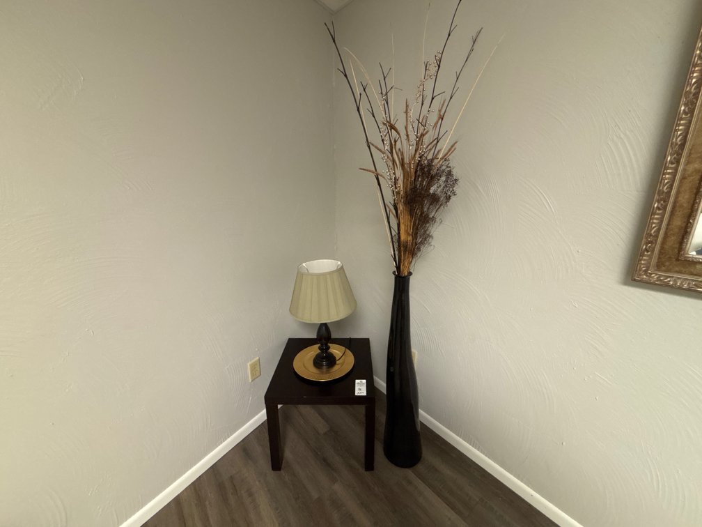 End Table & Plant Decor