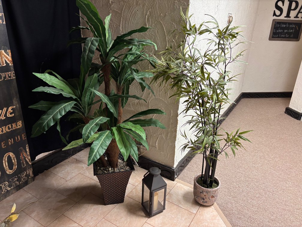 Large Plant Decor