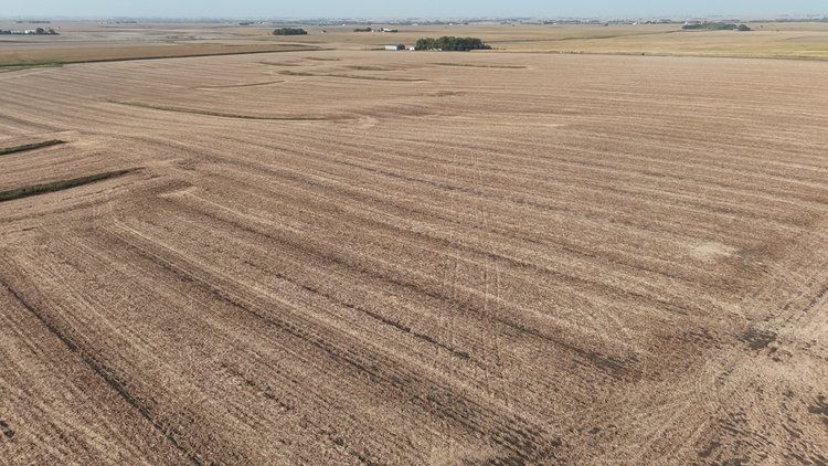 Image for Calhoun County Land & Acreage Auction!