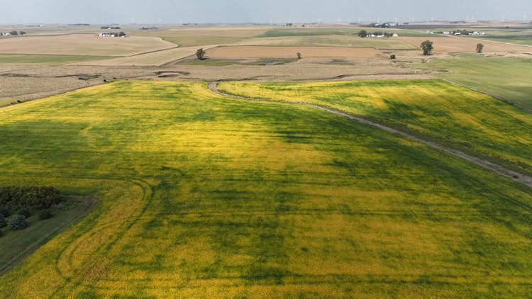 Image for Sac County, IA Farmland Auction!
