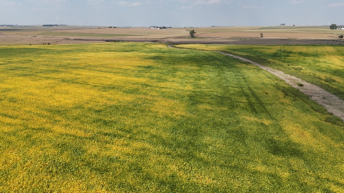 Image for Sac County, IA Farmland Auction!