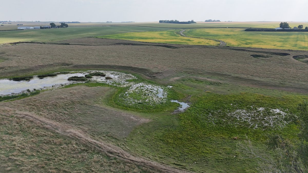 Image for Sac County, IA Farmland Auction!