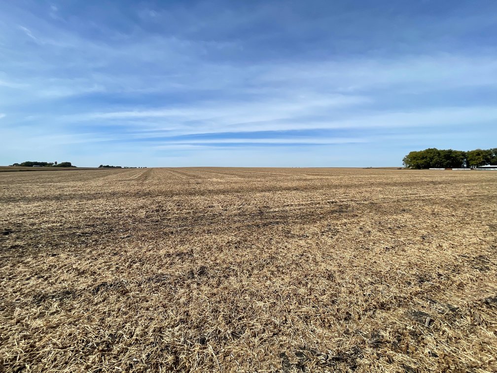 Image for Calhoun County, IA Land Auction!