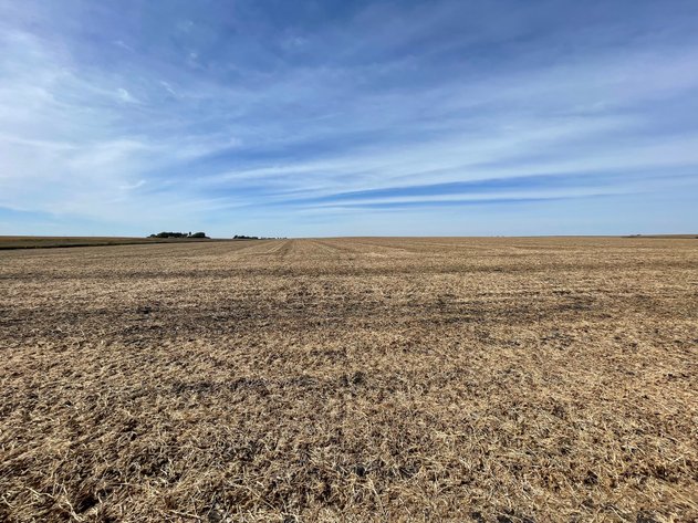 Image for Calhoun County, IA Land Auction!