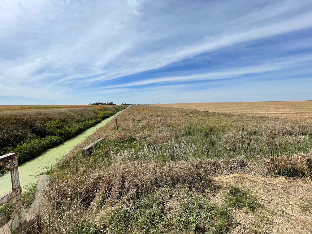 Image for Calhoun County, IA Land Auction!
