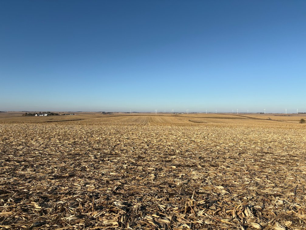 Image for Sac County Farmland Auction!