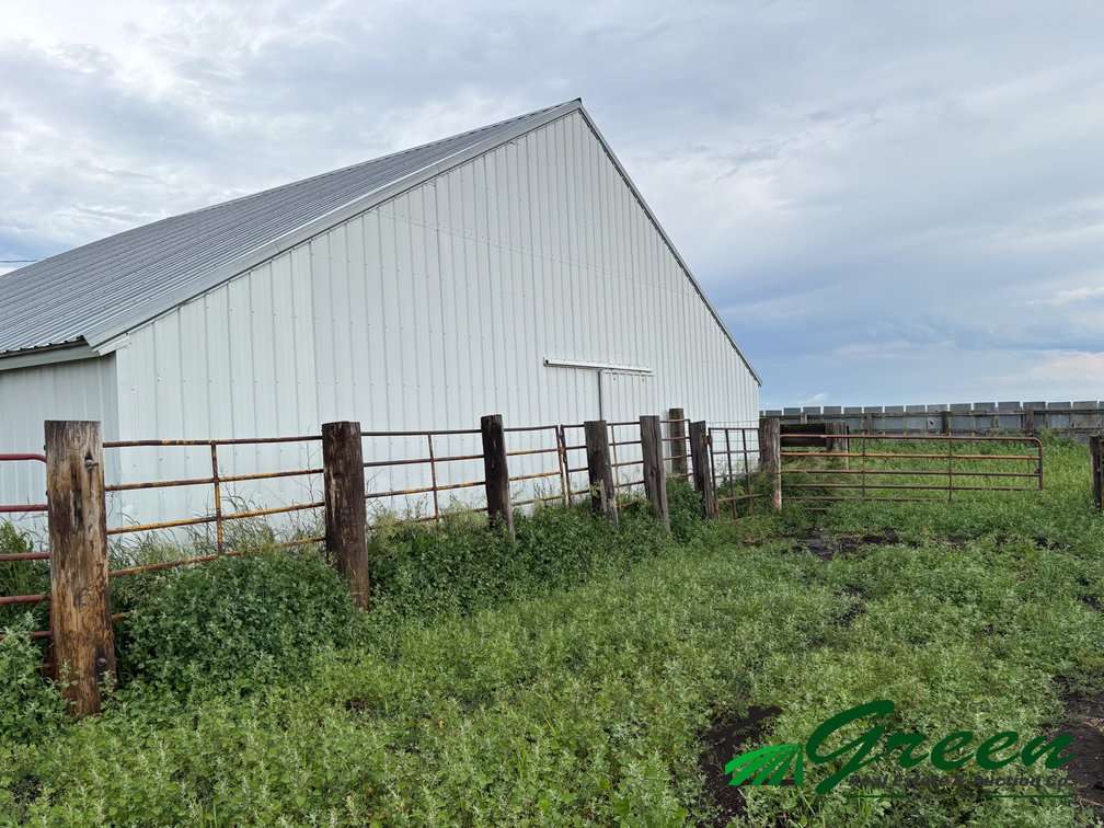 Image for Calhoun County Real Estate Auction!