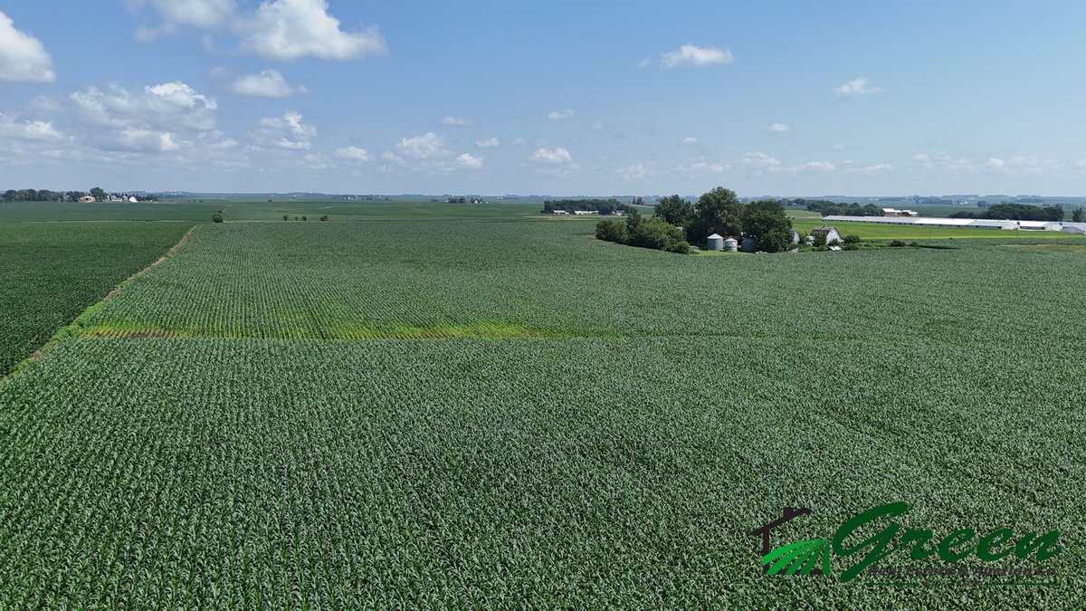 Image for Sac County, Iowa Farmland Auction!