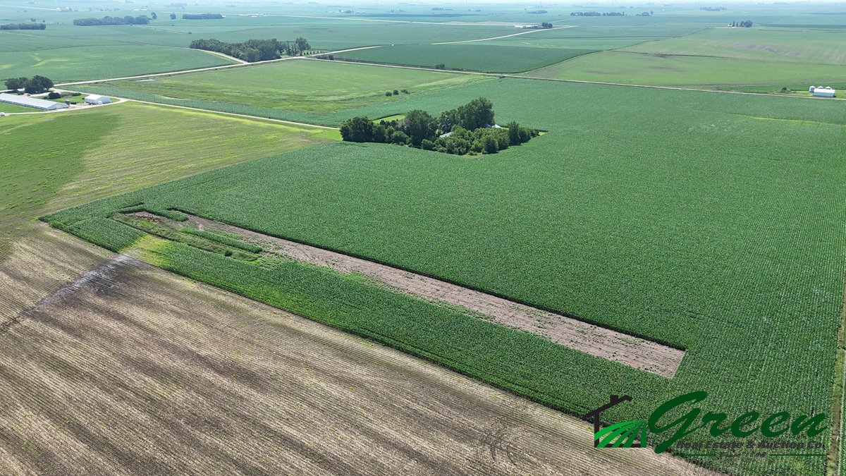 Image for Sac County, Iowa Farmland Auction!