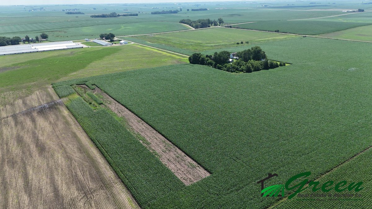 Image for Sac County, Iowa Farmland Auction!
