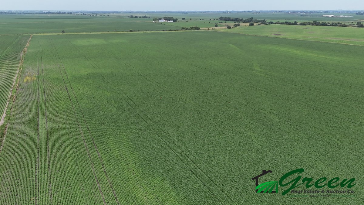 Image for Sac County, IA Farmland Auction!