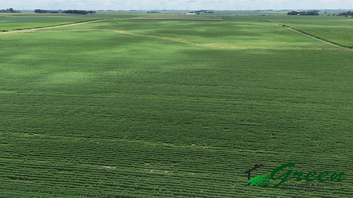 Image for Buena Vista County, IA Land Auction!